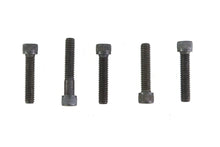 Load image into Gallery viewer, 5/16 inch-18 x 1-3/4 inch Allen Socket Cap Screw Black