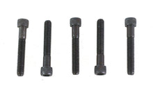 Load image into Gallery viewer, 5/16 inch-18 x 2 inch Allen Socket Cap Screw Black