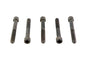 5/16-18 X 2-1/2 inch Allen Socket Cap Screw Black