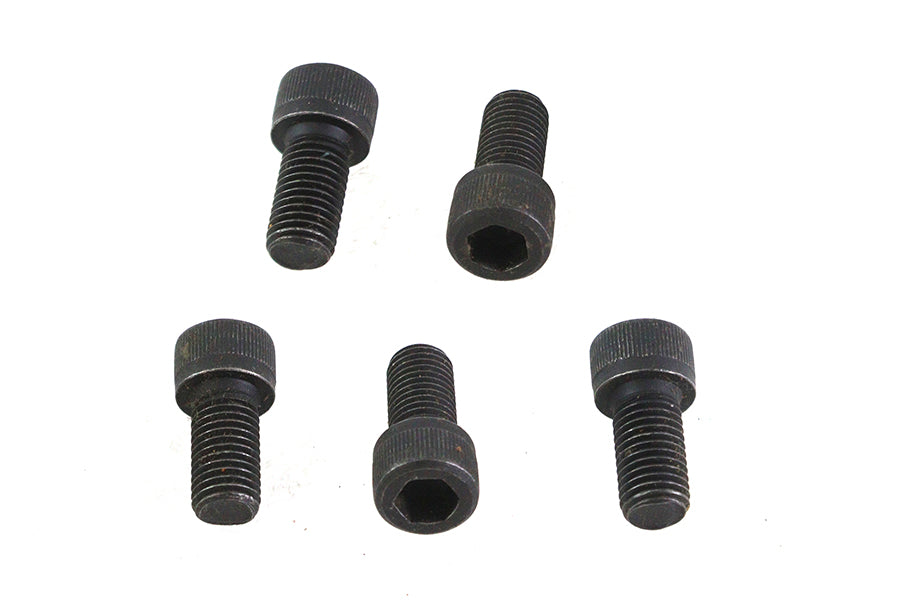 5/16 inch-24 x 5/8 inch Allen Socket Cap Screw Black