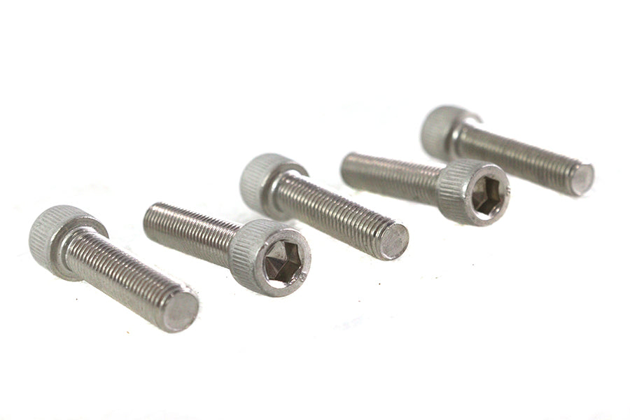 5/16 inch-24 x 1-1/4 inch Allen Socket Cap Screw Stainless S