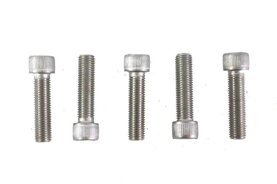 5/16 inch-24 x 1-1/4 inch Allen Socket Cap Screw Stainless S