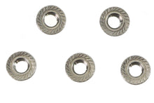 Load image into Gallery viewer, Serrated Hex Flange Nuts 5/16 inch-24 Stainless Steel