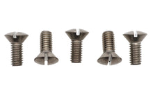Load image into Gallery viewer, Oval Slotted Screw 5/16 inch-18 x 3/4 inch Stainless Steel
