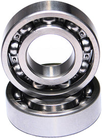 Outer Cam Bearings