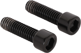 4/110 Center Cap Screws M4x16 2pcs Black