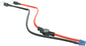 Xp1/Xp3 Harness