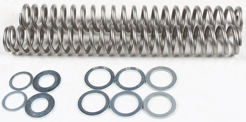Fork Spring 1.10kg