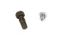 Oil Tank Drain Plug with Tap Oversize