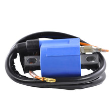 Load image into Gallery viewer, External Ignition Coil W/Spark Plug Cap