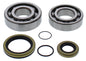 Crankshaft Bearing / Seal Kit Gas