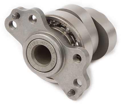 Racing Cam Mudbuster Grizzly 700
