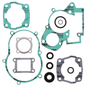 Complete Gasket Set With Oil Seals