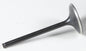 Black Diamond Intake Valve