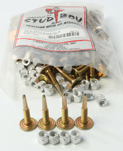 Load image into Gallery viewer, Lake Racer Studs 1.625" 96/Pkg