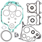 Complete Gasket Set With Oil Seals