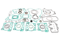 Complete Gasket Set With Oil Seals