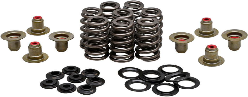 Beehive Valve Spring Kit .550 Lift  M8`17 24 Non Vvt
