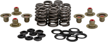Load image into Gallery viewer, Beehive Valve Spring Kit .550 Lift  M8`17 24 Non Vvt
