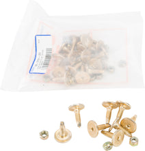 Load image into Gallery viewer, Gold Digger Carbide Traction Master Stud .75" 24/Pk