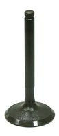 Intake Valve