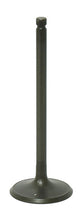 Load image into Gallery viewer, Intake Valve