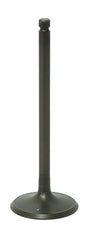 Intake Valve