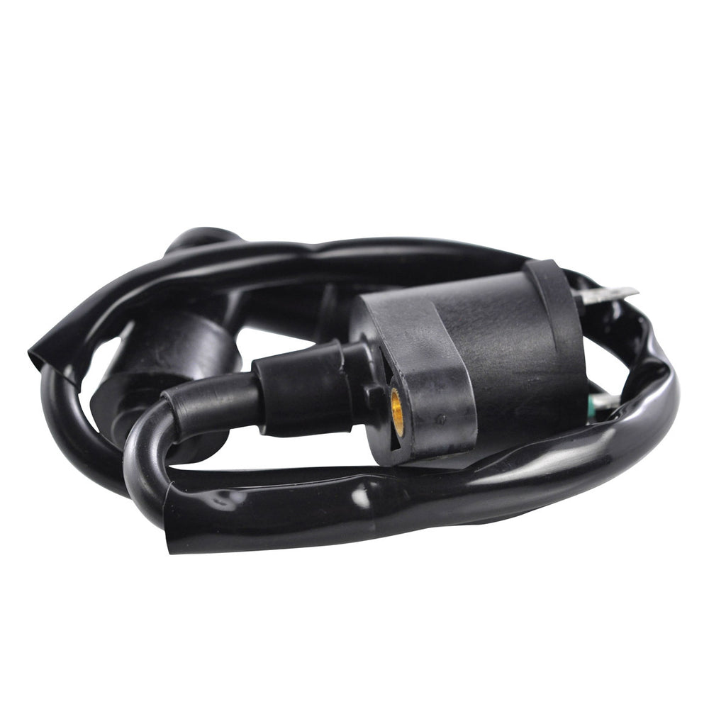 External Ignition Coil W/Spark Plug Cap