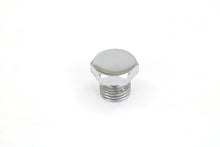 Load image into Gallery viewer, Chrome Motor Case Drain/Oil Pump Body Plug