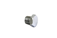 Load image into Gallery viewer, Chrome Motor Case Drain/Oil Pump Body Plug