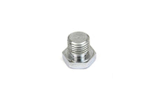 Load image into Gallery viewer, Chrome Motor Case Drain/Oil Pump Body Plug