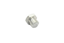 Load image into Gallery viewer, Cadmium Motor Case Drain/Oil Pump Body Plug