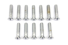 Load image into Gallery viewer, Chrome Cam Cover Stock Slotted Screws