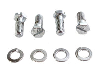 Load image into Gallery viewer, Chrome Stock Carburetor Mount Screws