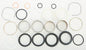 Seal/Bushing Kit Forks
