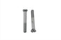 Chrome Generator Mount Screws