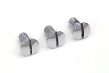 Load image into Gallery viewer, Chrome Left Side Oval Head Screws