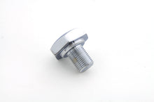 Load image into Gallery viewer, Chrome Flat Top Fork Tube Bolt
