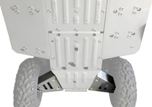 Load image into Gallery viewer, Alloy Rear A Arm Guards Pol