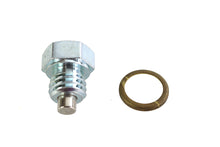Load image into Gallery viewer, Magnetic Drain Plug with Brass Gasket