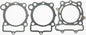 Race Gasket Kit Kaw