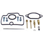 Bike Carburetor Rebuild Kit