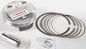 Piston Kit Armorglide 96.00/Std 12:1 Hon