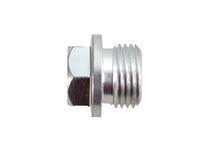 Load image into Gallery viewer, Cadmium Timing and Oil Tank Plug