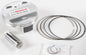 Piston Kit Armorglide Box Frg 96.00/Std 12.5:1 Kaw
