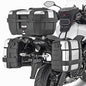 8921-5cc090535554b.jpg