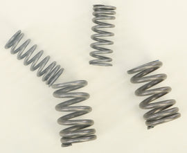 BBR engine HD valve springs installed on engine components, showcasing durable, high-performance valve spring design.