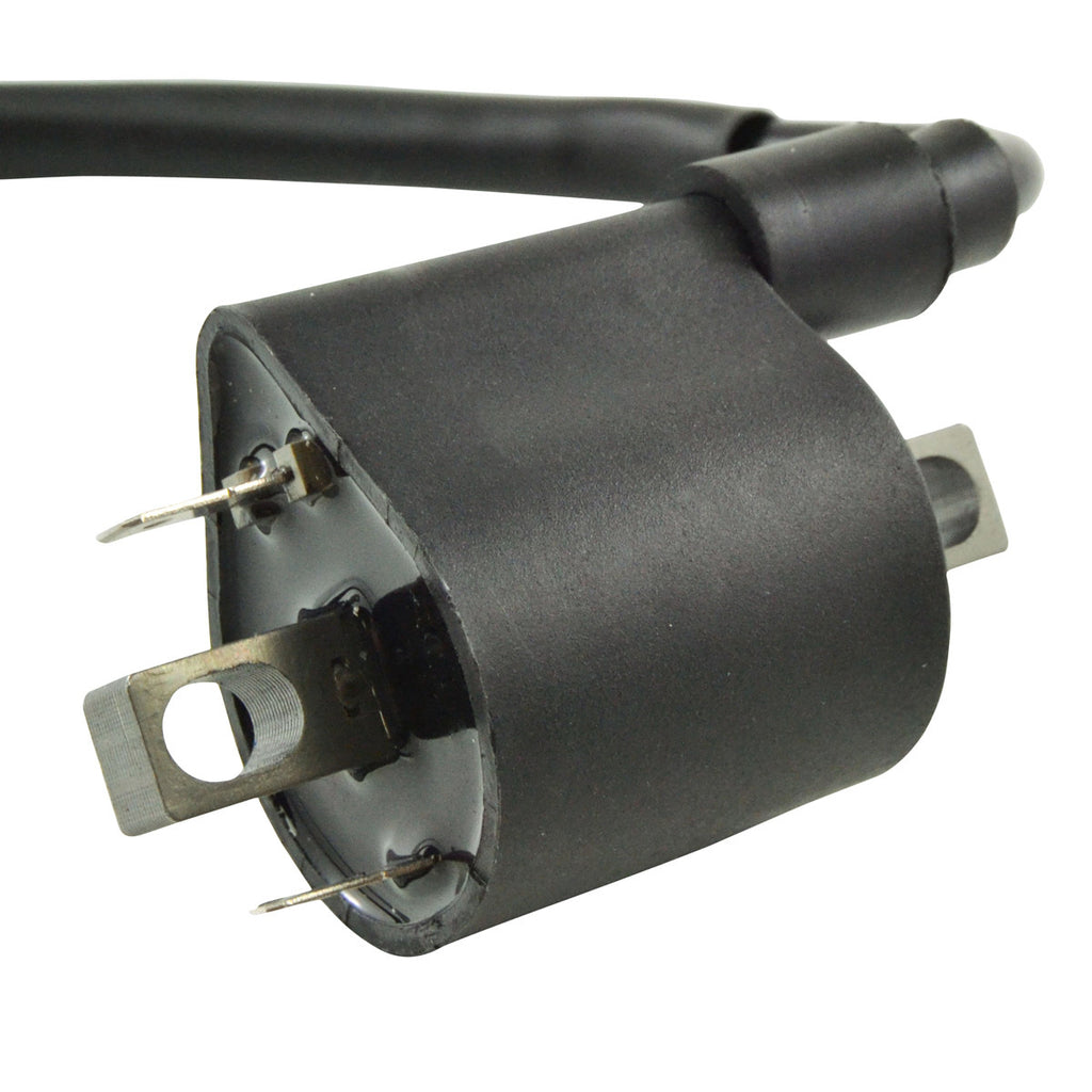 External Ignition Coil W/Spark Plug Cap