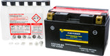 Fire Power Battery Ctz10s-Bs Maintenance Free 49-2293