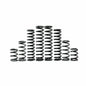 Dual Rate Spring Kit Kaw